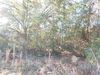 2841 Howland Blvd photo
